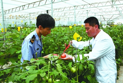 平?jīng)鍪乘幈O(jiān)所對蔬菜農藥殘留量進行測定