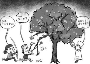 農(nóng)藥殘留會(huì)傷身“棒打”銀杏會(huì)傷樹 農(nóng)藥殘留會(huì)傷身“棒打”銀杏會(huì)傷樹